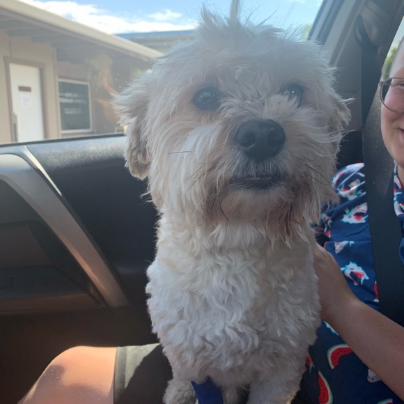 Meet your Posher, Kylie - Picture 7 of 10